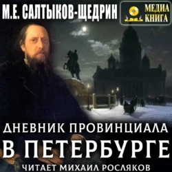 Дневник провинциала в Петербурге Михаил Салтыков-Щедрин