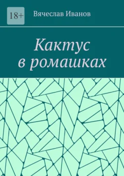 Кактус в ромашках. Повесть, Вячеслав Иванов