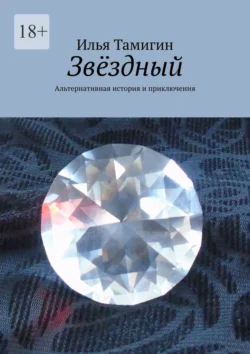 Звёздный. Альтернативная история и приключения, Илья Тамигин