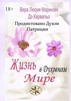 Жизнь в Духовном Мире. Продиктовано Духом Патриции, Вера Люсия Маринзек Дэ Карвальо