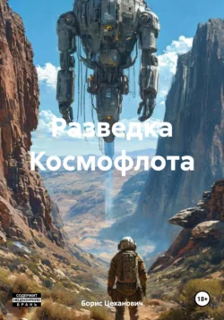 Разведка Космофлота, Борис Цеханович