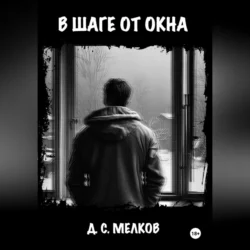 В шаге от окна, Дмитрий Мелков