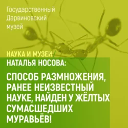 Способ размножения, ранее неизвестный науке, найден у желтых сумасшедших муравьев!, Наталья Носова