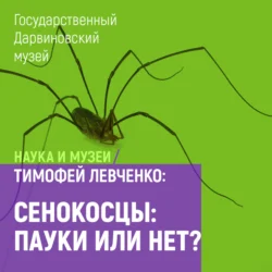 Сенокосцы: пауки или нет?, Тимофей Левченко