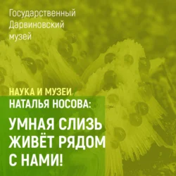 Умная слизь живет рядом с нами!, Наталья Носова