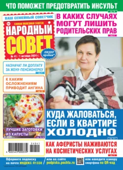 Народный совет 41 2024 