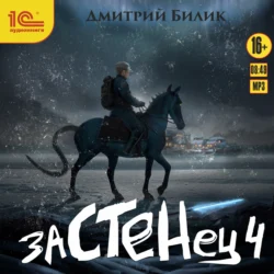 Застенец. Книга 4, Дмитрий Билик