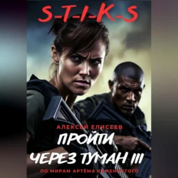 S-T-I-K-S. Пройти через туман III, Алексей Елисеев