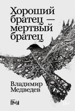 Хороший братец – мертвый братец Владимир Медведев