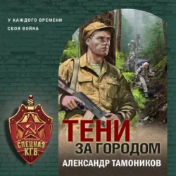 Тени за городом Александр Тамоников