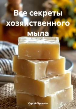 Все секреты хозяйственного мыла, Сергей Чувашов