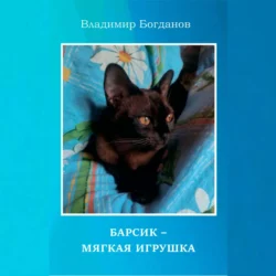 Барсик – мягкая игрушка, Владимир Богданов