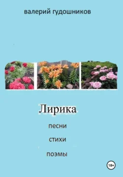 Валерий Гудошников Лирика. Песни  стихи  поэмы Валерий Гудошников