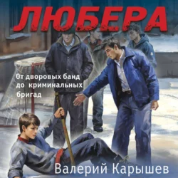 Любера. От дворовых банд до криминальных бригад Валерий Карышев