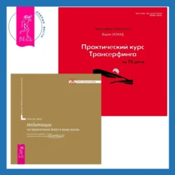 Практический курс Трансерфинга за 78 дней + Медитации на привлечение денег в вашу жизнь Вадим Зеланд и Клаус Джоул