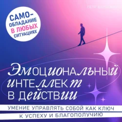 Эмоциональный интеллект в действии, Петр Вольский