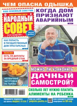 Народный совет №42/2024