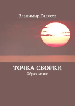 Точка сборки. Образ жизни Владимир Гилясев