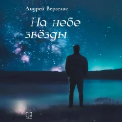 На небе звёзды, Андрей Вергелис