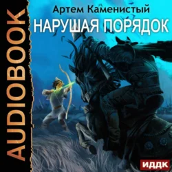 Нарушая ПОРЯДОК, Артем Каменистый