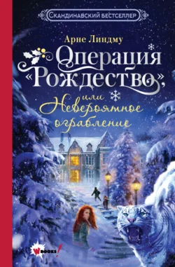 Операция «Рождество», или Невероятное ограбление, Арне Линдму