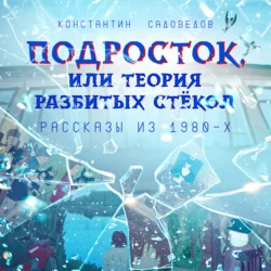 Подросток, или Теория разбитых стёкол, Константин Садоведов