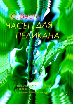 Часы для пеликана, Сен Сейно Весто