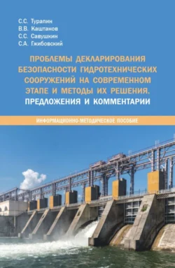 Проблемы декларирования безопасности гидротехнических сооружений на современном этапе и методы их решения. Предложения и комментарии. (Бакалавриат, Магистратура, Специалитет). Методическое пособие., Сергей Турапин