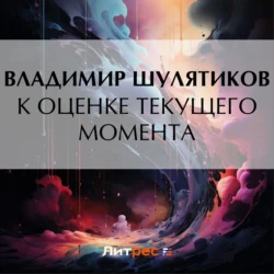 К оценке текущего момента, Владимир Шулятиков