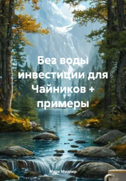 Без воды инвестиции для Чайников + примеры, Марк Миллер