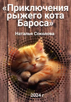 Приключения рыжего кота Бароса, Наталья Соколова