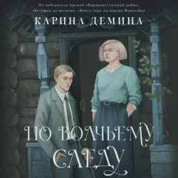 По волчьему следу, Карина Демина