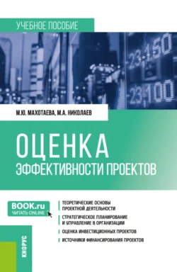 Оценка эффективности проектов. (Бакалавриат, Магистратура). Учебное пособие., Марина Махотаева