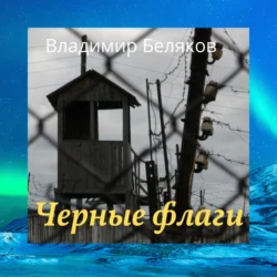 Черные флаги, Владимир Беляков