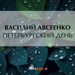 Петербургский день, Василий Авсеенко