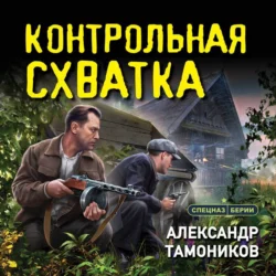 Контрольная схватка, Александр Тамоников