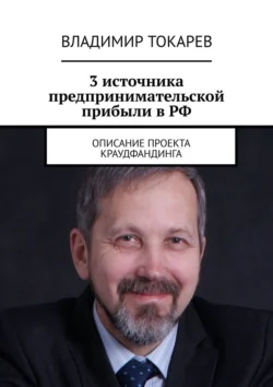 3 источника предпринимательской прибыли в РФ. Описание проекта краудфандинга, Владимир Токарев