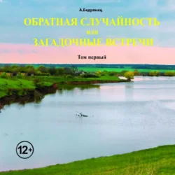 Обратная случайность или Загадочные встречи. Том первый, Александр Бедрянец