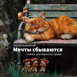 Мечты сбываются, Сергей Быковский