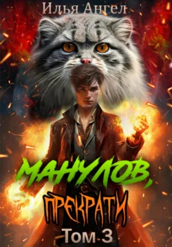 Манулов, прекрати! Том 3, Илья Ангел