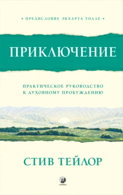 Приключение. Практическое руководство к духовному пробуждению, Стив Тейлор