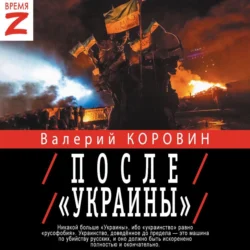 После «Украины», Валерий Коровин