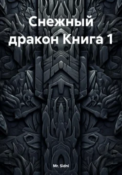 Снежный дракон. Книга 1, Mr. Sidni