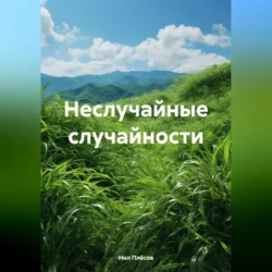 Неслучайные случайности, Нил Плёсов