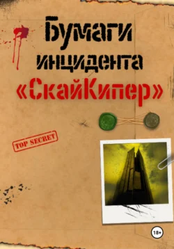 Бумаги инцидента «СкайКипер», Никита Котляров