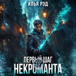 Первый шаг Некроманта. Том 4, Илья Рэд