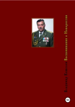 Воспоминания о Новороссии, Владимир Кошелев