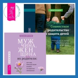 Совместное родительство и защита детей: руководство по теории привязанности для воспитания детей на два дома. Мужчина, женщина и их родители: как наш детский опыт влияет на взрослые отношения, Анастасия Долганова