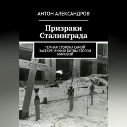 Призраки Сталинграда, Антон Александров