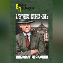 Агентурная кличка – Лунь (сборник), Николай Черкашин